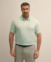 Performance Series Big & Tall Microstripe Polo Shirt