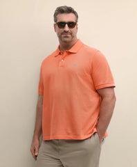 Big & Tall Cotton Pique Polo Shirt