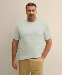 Big & Tall Supima