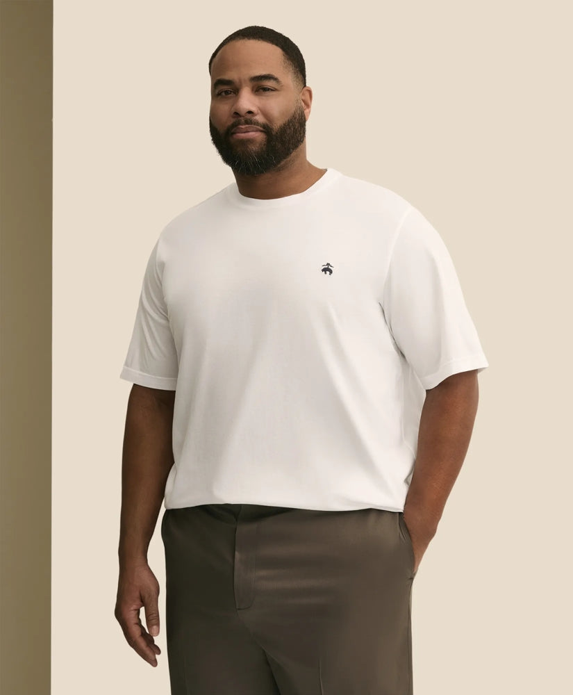 Big & Tall Supima