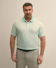 Performance Series Big & Tall Microstripe Polo Shirt
