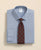 BRIGHT-BLUE
